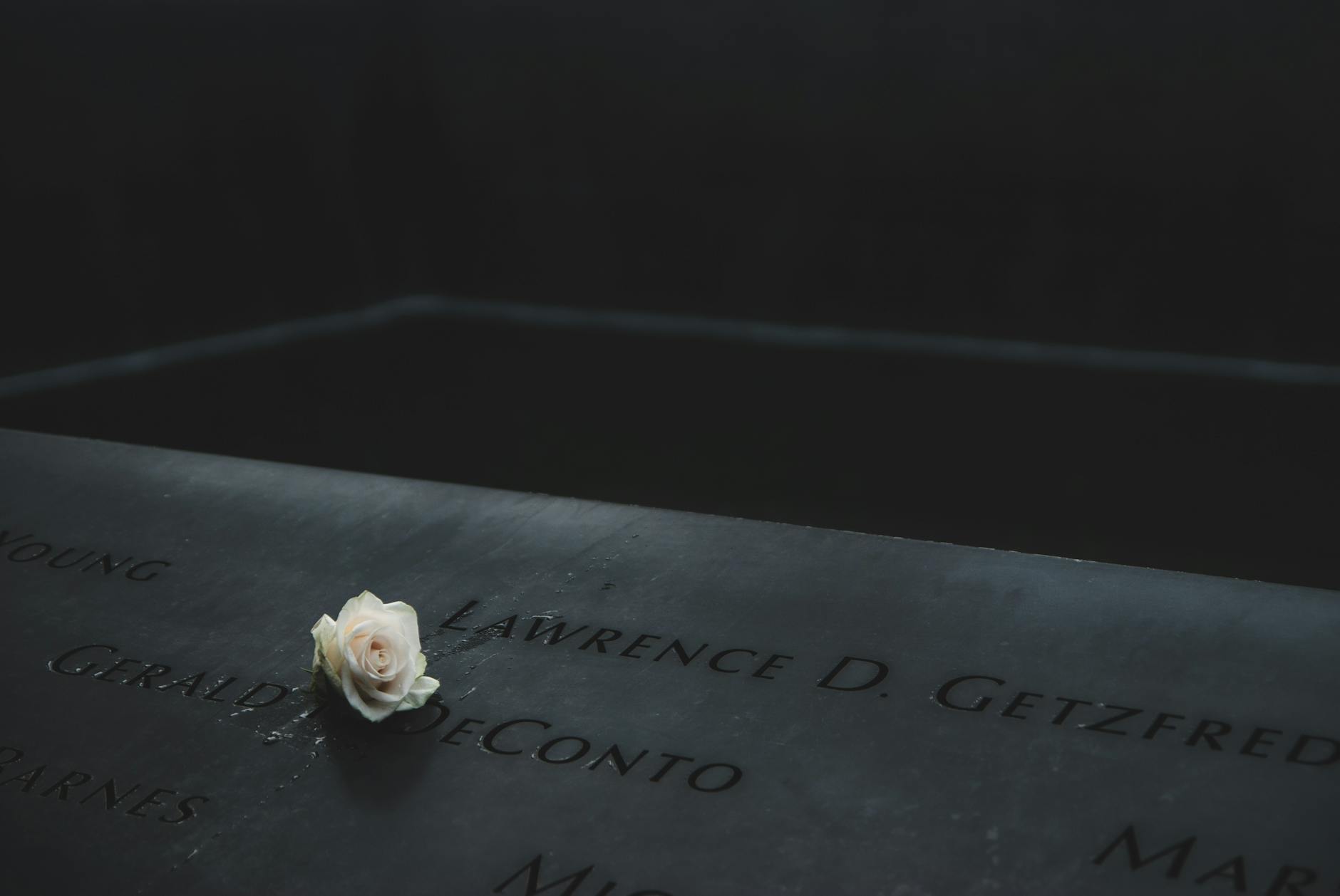 A single white rose rests on engraved names at the 9/11 Memorial in New York City.